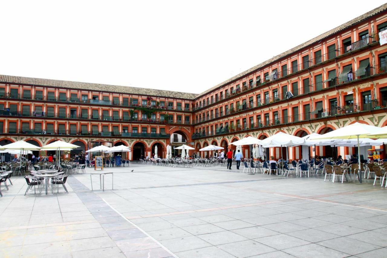Apartment Pedro Lopez Free Parking Center Cordoba